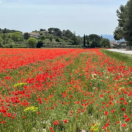 Dependance Cosy Avec Petit Dejeuner Entre Gordes Et L'isle Sur La Sorgue *